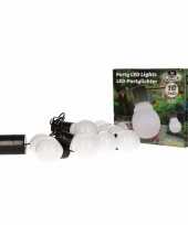 Witte feestverlichting 10 lampen